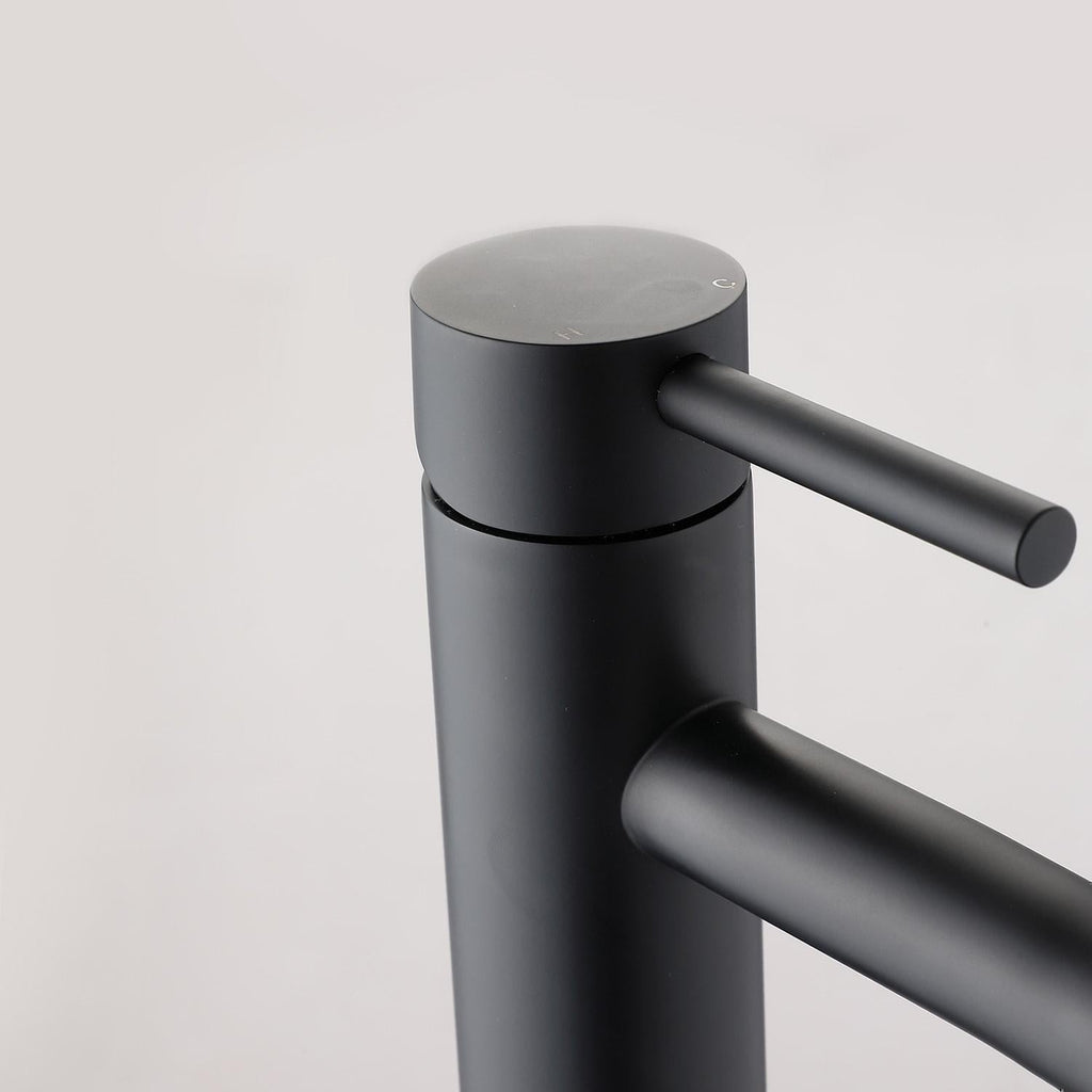 Matte Black Single-Handle Sink Faucet