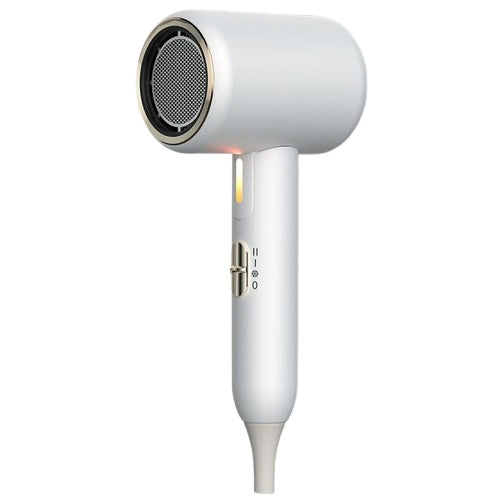 2400W Ionic Hair Dryer Blue Light