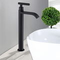 Matte Black Single-Handle Sink Faucet